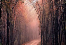 这四类面相特征的人,天生贵气