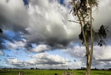 这四个地方有福痣,能发财享福